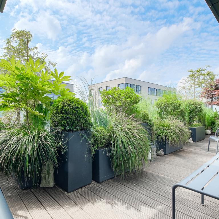 SOUS OFFRE! Ixelles : Magnifique penthouse 3 chambres avec terrasse 