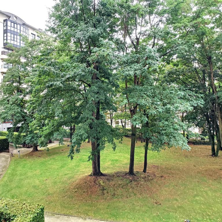 Parc Brugmann : Bel appartement + terrasse + parking