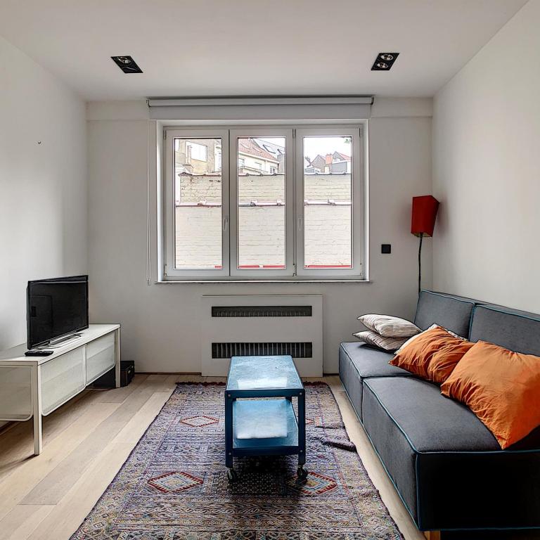 Molière/Bascule : Bel appartement meublé 1 ch. + terrasse