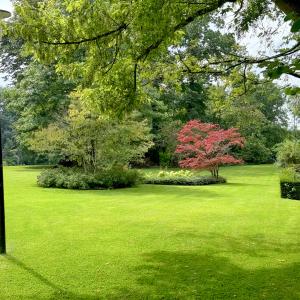 Observatoire, bel appartement de 3 ch. + grande terrasse