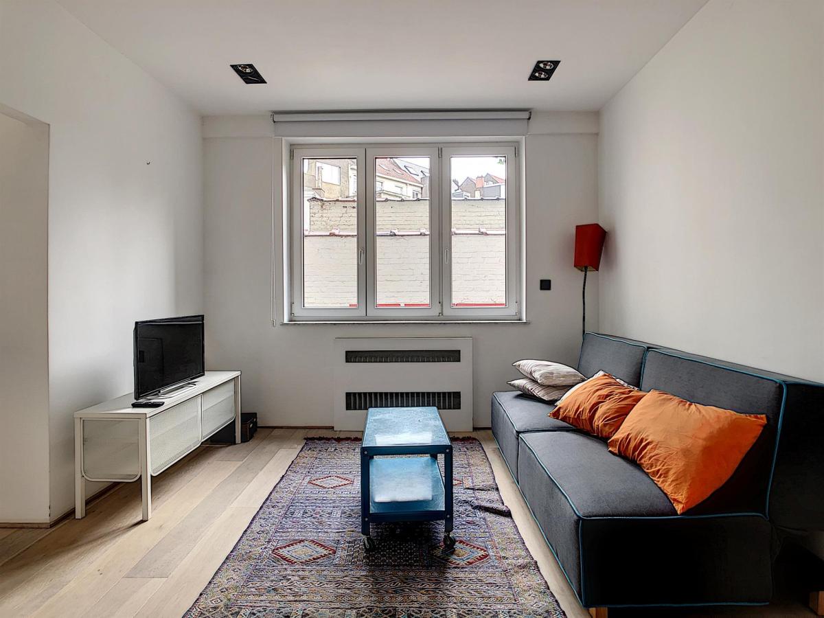 Molière/Bascule : Bel appartement meublé 1 ch. + terrasse