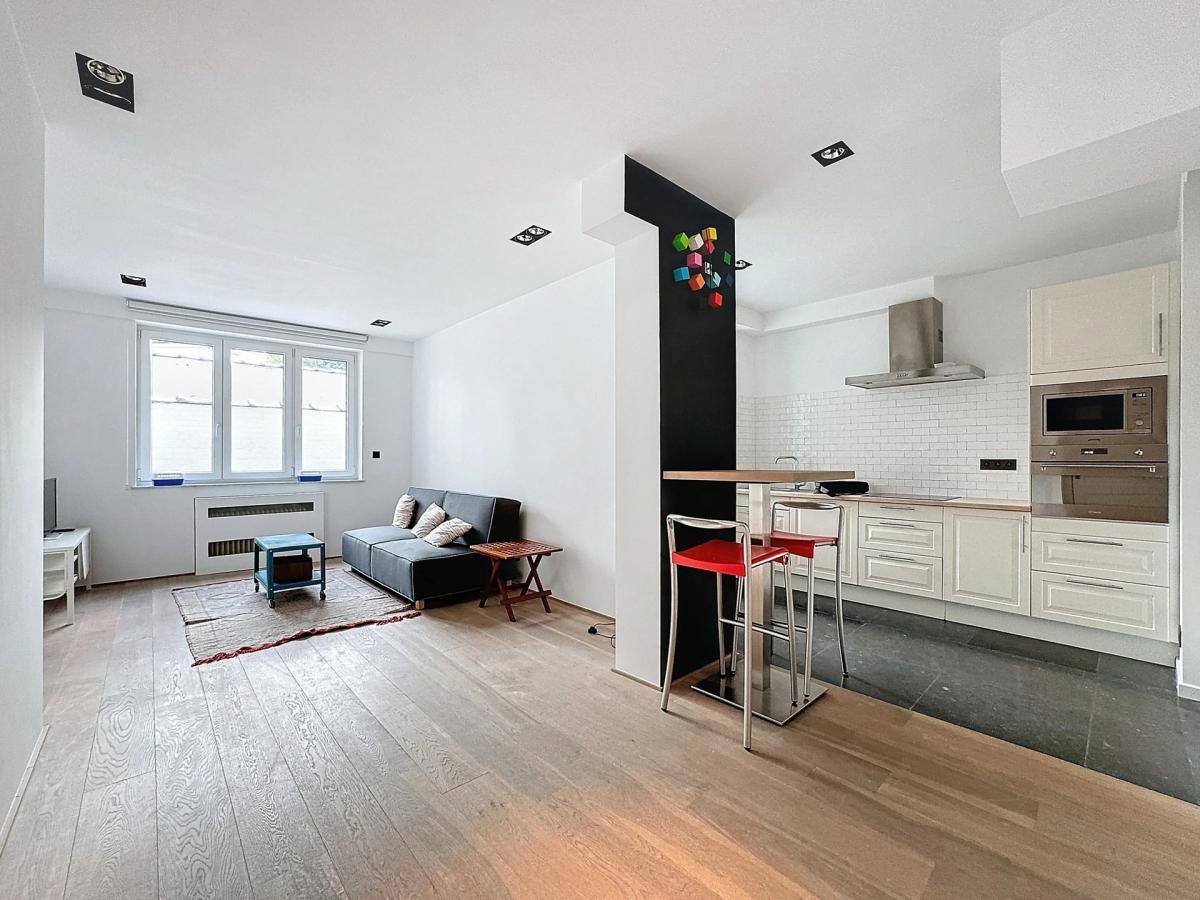 Molière/Bascule : Bel appartement meublé 1 ch. + terrasse